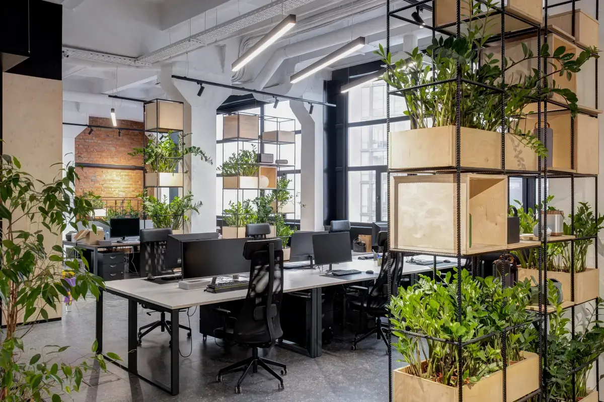 Modern open-concept office renovation with workstations and greenery in Calgary by Can Do More